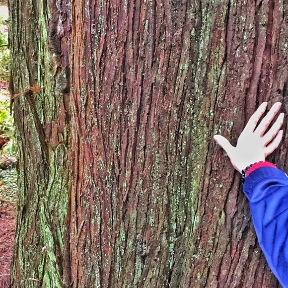 🌻BOOKMARK🌻 - Picture 2 of 5